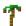 Coconut Sapling
