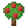 OAK_APPLE_SAPLING