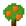 Orange Sapling