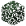 SPRUCE_LEAVES