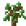 TOMATO_BUSH